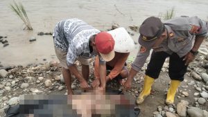 Mayat Perempuan Ditemukan di Sungai Pekacangan Kejobong