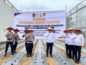 Sinergi Dalam Mendukung Ketahanan Pangan, Rutan Batam Laksanakan Panen Raya Sayur dan Penanaman Bibit Jagung Bersama Satbrimob Polda Kepri