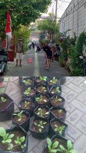 Kompak dan Guyub Kerja Bakti Warga Perum Jatikalang Indah RT 24 Mempersiapkan Lomba Lingkungan Bersih dan Sehat